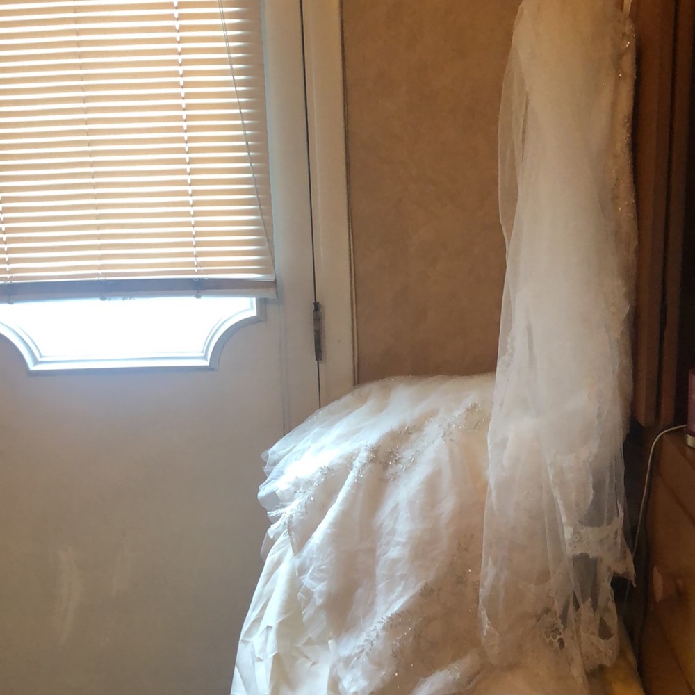 Veil - Picture 2 of 3